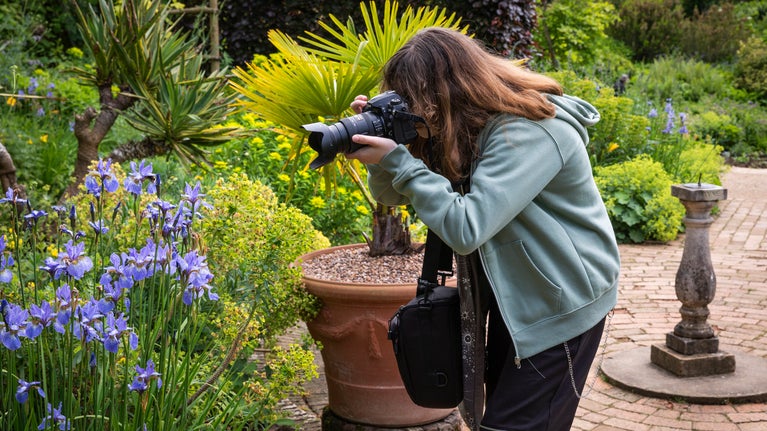 A person taking a photo of a flower in a garden